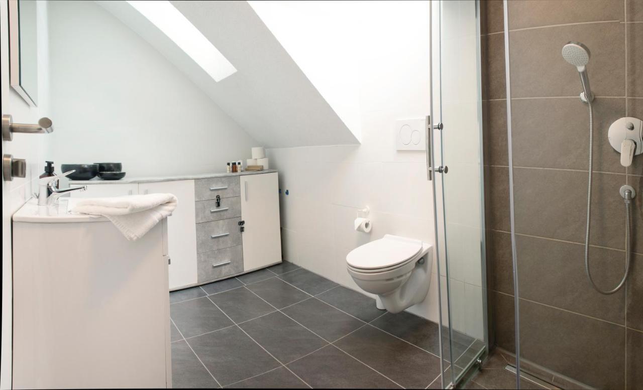 Modernes 80 Qm Apartment Mit Balkon Und Innenstadtnah Lörrach Екстериор снимка